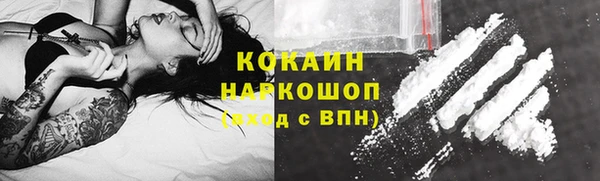 соль ск Белокуриха
