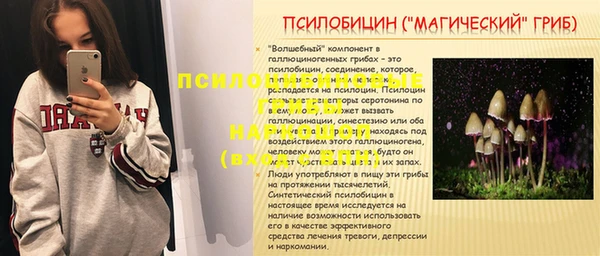 соль ск Белокуриха