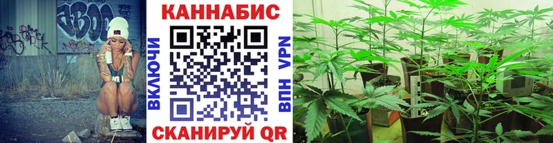 Купить где  Верхотурье  Бошки Шишки гибрид 
